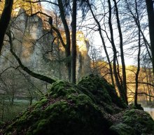 Jahresabschlusswanderung im Pegnitztal – „Weitblicke genießen“